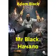 Постер книги Mr Black. Начало