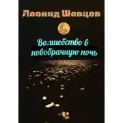 Постер книги Волшебство в новобрачную ночь