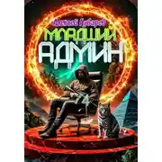 Постер книги Младший админ