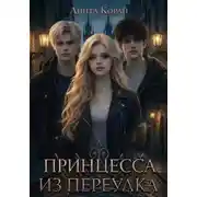 Постер книги Принцесса из переулка