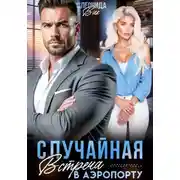 Постер книги Случайная встреча в аэропорту