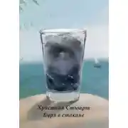 Постер книги Буря в стакане