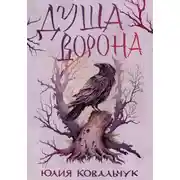 Постер книги Душа Ворона