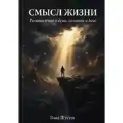 Постер книги Смысл жизни