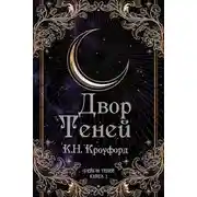 Постер книги Двор Теней