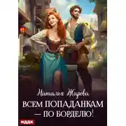 Постер книги Всем попаданкам – по борделю!