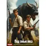 Постер книги Орден неправильных магов. Книга 5. Под сенью леса