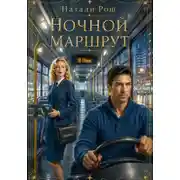 Постер книги Ночной маршрут