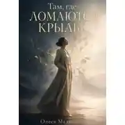 Постер книги Там, где ломаются крылья