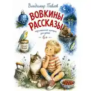 Постер книги Вовкины Рассказы