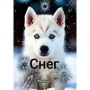 Постер книги Снег