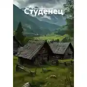 Постер книги Студенец