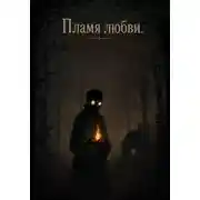 Постер книги Пламя любви