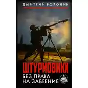 Постер книги Штурмовики. Без права на забвение