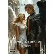 Постер книги Хроники иного света
