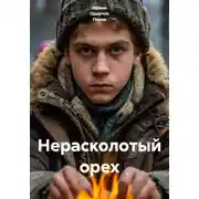 Постер книги Нерасколотый орех