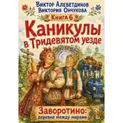 Постер книги Каникулы в Тридевятом уезде
