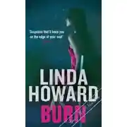 Постер книги В огне