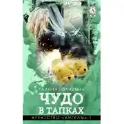 Постер книги Чудо в тапках