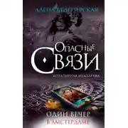 Постер книги Один вечер в Амстердаме