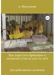 Александра Максимова - Как вырастить бройлеров и пекинских уток на даче за лето. Для работающих дачников