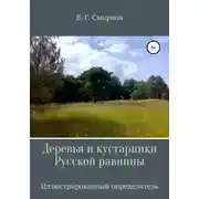 Постер книги Деревья и кустарники Русской равнины