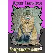 Постер книги Возвращение Кота