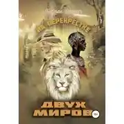 Постер книги На перекрёстке двух миров