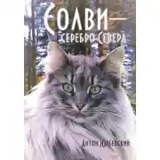 Постер книги Солви - серебро Севера