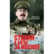 Постер книги Сталин в битве за Москву