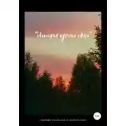Постер книги История одного окна