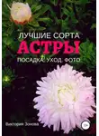 Виктория Зонова - Астры. Лучшие сорта