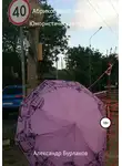 Александр Бурлаков - Абрикосовый пирог