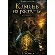 Постер книги Камень на распутье