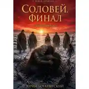 Постер книги Соловей. Финал