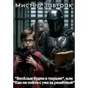 Постер книги Весёлые будни в тюрьме, или Как не сойти с ума за решёткой
