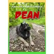 Постер книги Dean