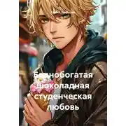Постер книги Беднобогатая шоколадная студенческая любовь