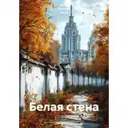 Постер книги Белая стена
