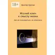 Постер книги Жгучий ключ к смыслу жизни. Как им пользоваться, не обжигаясь