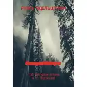 Постер книги Последний бой героя