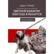 Постер книги Цветной блицкриг 2020 года в Беларуси. Батька, держись!