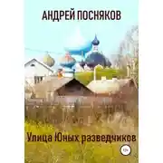 Постер книги Улица Юных разведчиков