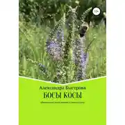 Постер книги БОСЫ КОСЫ. Маленькие эпизоды большого пути