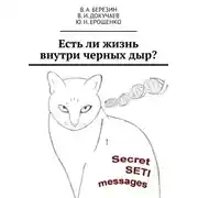 Постер книги Есть ли жизнь внутри черных дыр?
