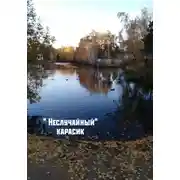 Постер книги «Неслучайный» карасик