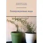 Постер книги Гиперзвуковая вода. Альманах. Выпуск 1