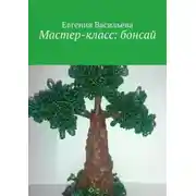 Постер книги Мастер-класс: бонсай