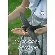 Постер книги Стрижиные истории