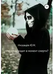 Юрий Низовцев - Что происходит в момент смерти?